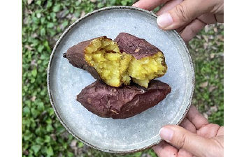 おだやかのむこう